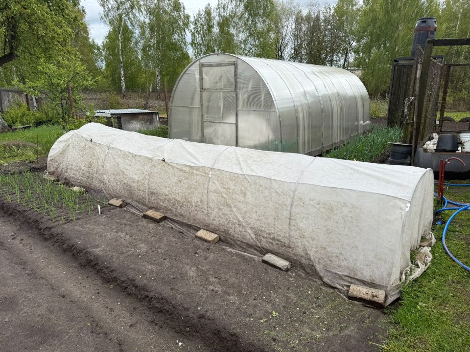 Крупа за копейки, а пользы — как от фуры удобрений: раскидываю пачку по огороду и земля как чернозём