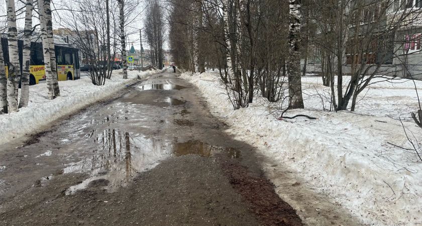 Холода ударят в майские праздники, а июль принесет аномальную жару: ученые рассказали о прогнозе до зимы 2025 года