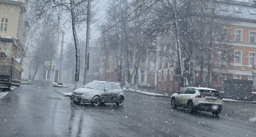 Каким будет лето 2025 после аномально теплой зимы: эксперты рассказали, к чему готовиться садоводам