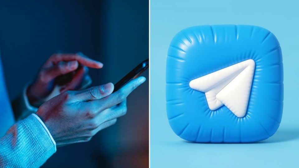 Telegram      :   ?