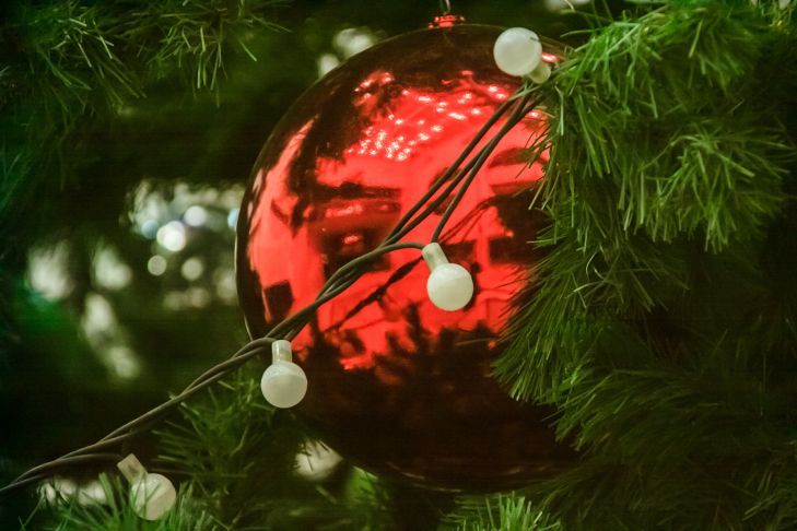 Какие блюда нельзя готовить на Новый год 2025: советы астрологов