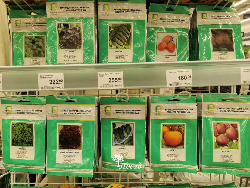 Профессиональные семена: мифы и реальность, которые удивляют дачников