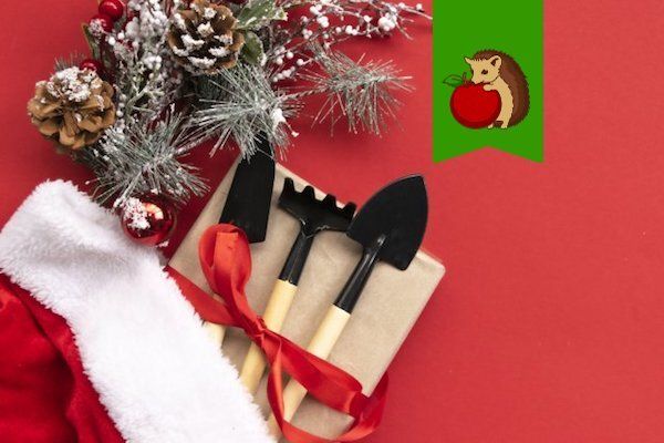 ����� ��� ��� ���������: ������ ������� ��� ������ ������� �������