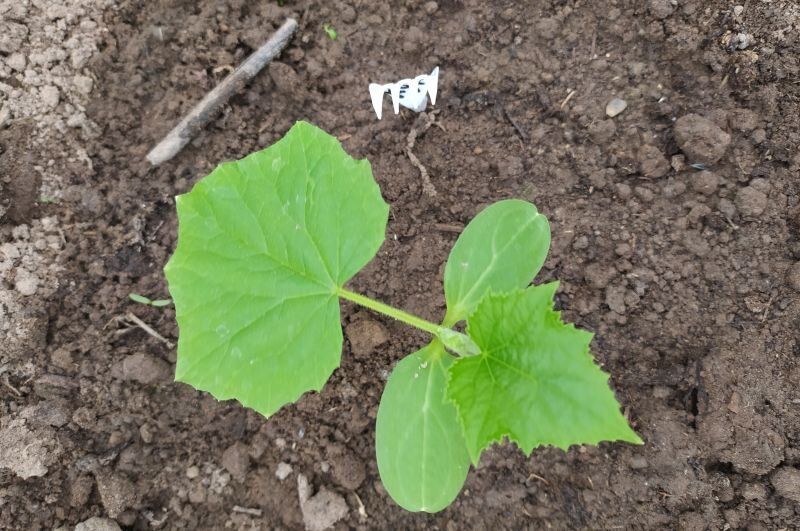 ��� ������� ������ ������� ������ ��� ������� ������ �������