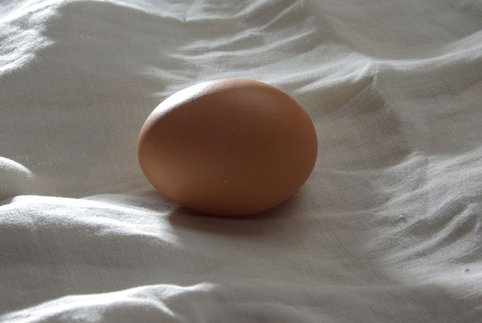 ��� ������ ��������� �������� ����: ������ ���������