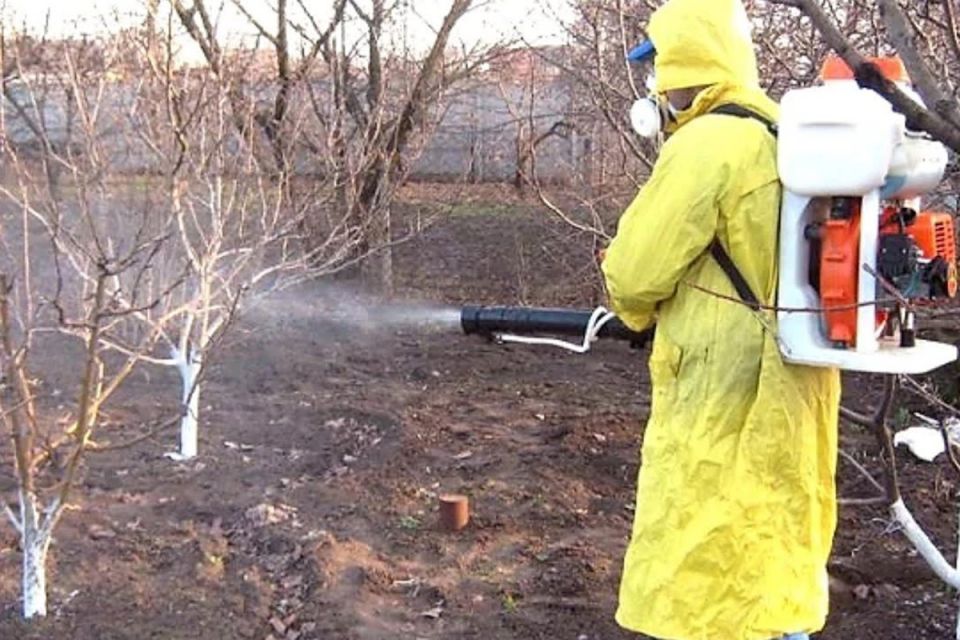 �������� � ������� ����: ����� � ������ �������������