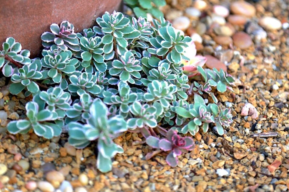 �����: ������� ����� �� ���������� �������, ������� ������� ��� ���