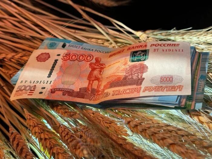 ���������� ����� ������� �� 2026 ���: ��� ��������� �������?