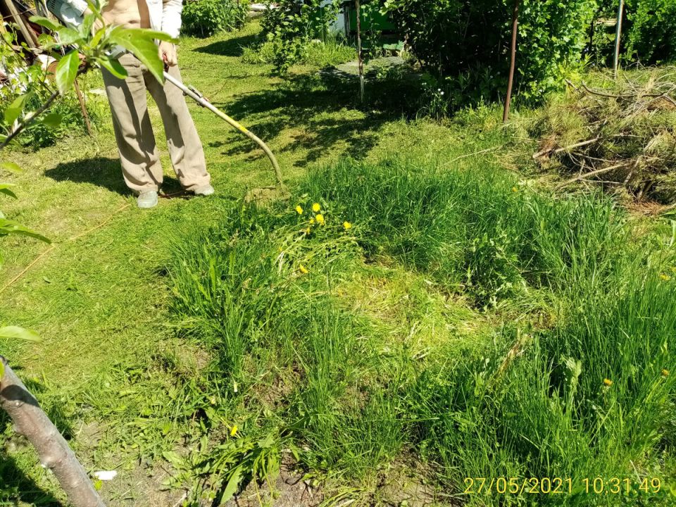 ����� �����: ����� � ��� ������� ��� ���������?