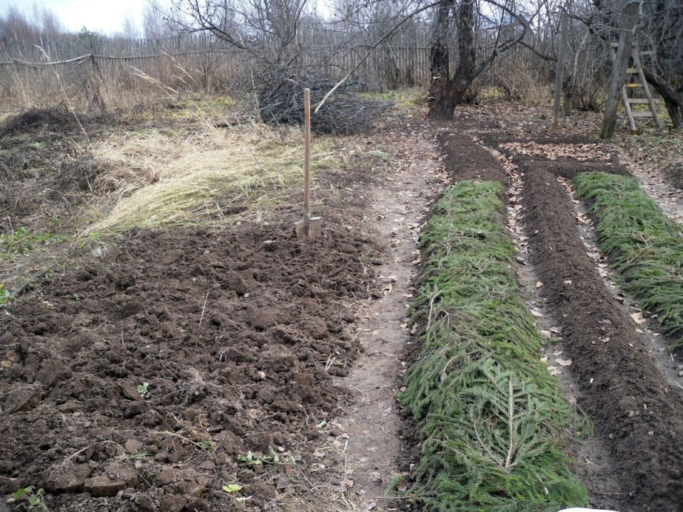 ����������� � ���������: ������ ��������� ���������� ������������ �� ����������� �������