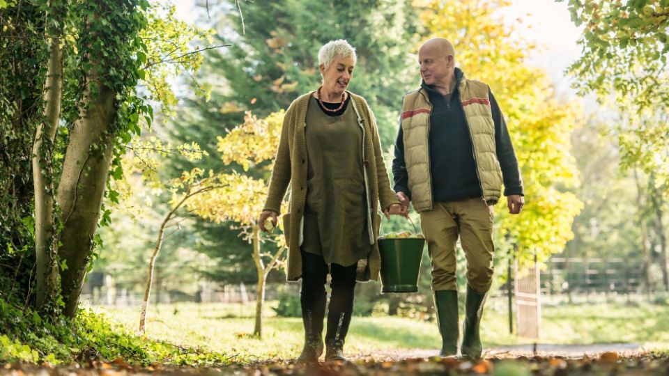 �� ��-�� ����������: ������ ������� �� ����� ������ ���� ������� ��������