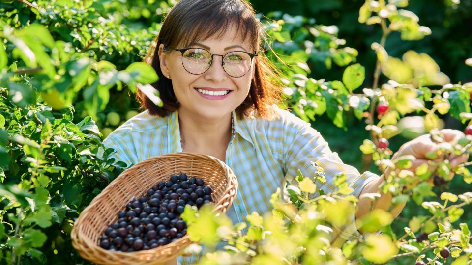 ��������� ����� ������ ������� �������: ������� ��� ���� ����� ����� ��������