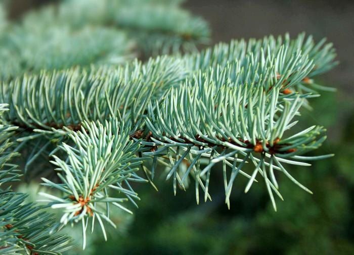 ������� �������� ���������: ��� ��������� ������ ��� �����