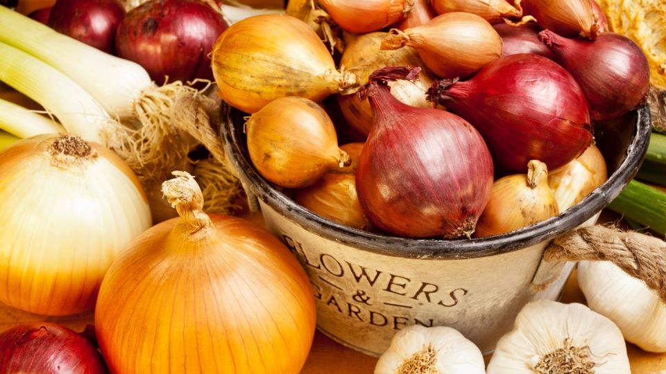 �� �������� ������ ��� � ����� ����� ��������: ����� �������� ������ �� ������