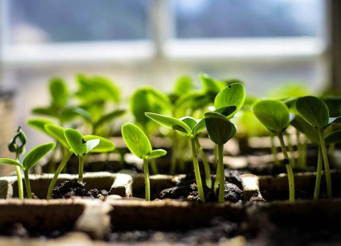 ��� ��������� ������������� �������: ������� ��� ������ �������