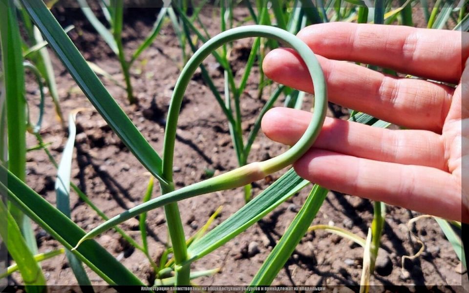 ������ � ����: ������ �� ����� � ��������� �������