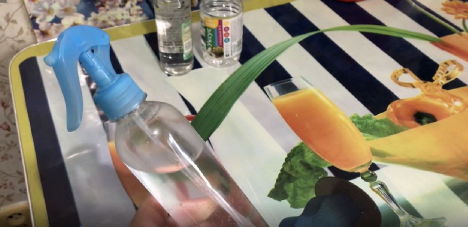 ����������� ������ ��� ������ �������� ������ � �����������