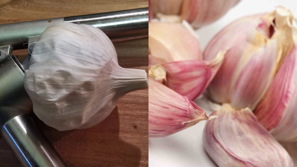 Как сохранить чеснок на год: неожиданные секреты хранения