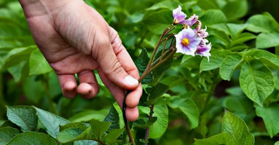 ��������� �������: ����� �� ������� ����� � ��������� ��� ������� ������?