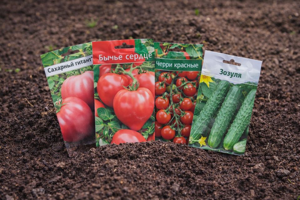 ���� ��� �������: ��� ������ �� ������ ������?