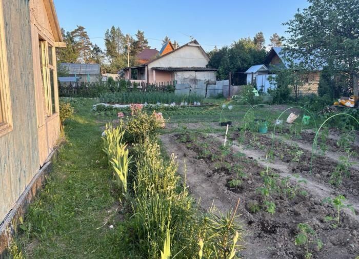 ��� ���������� �� ��������: ������� ����������� ������