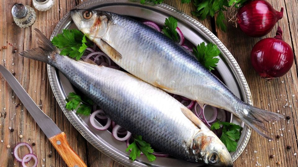 ����� ������ ������� �� ������ �� ���� � ��� ��� ������ �� ������� �������� ����