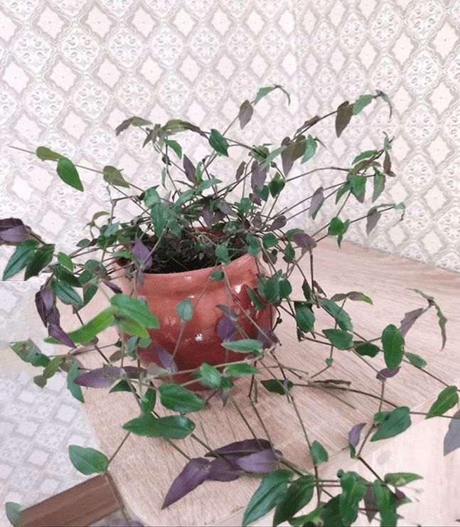 ��������� �������� � ����: ���������� � �������������� � �������� ������� ������ ����