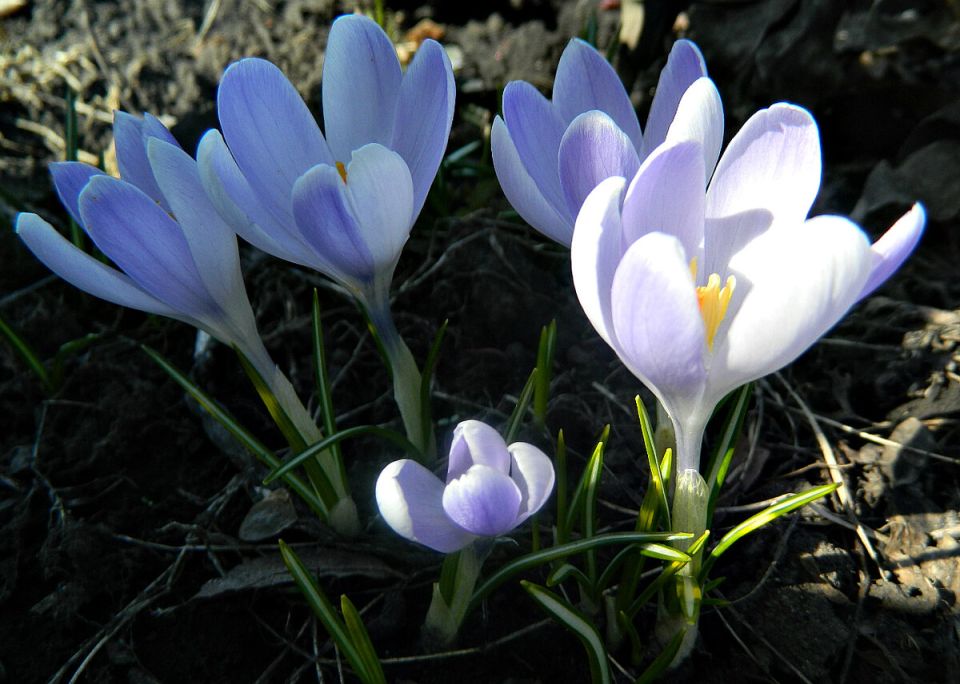 �������������� ������ �� ������ ��� � ���� � �������: ��� ������� ������ � ��� ������