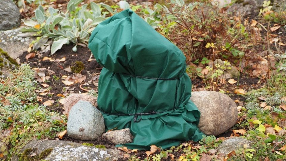 ������� ��� � ������ ����: ��������� ����������� �� ���������