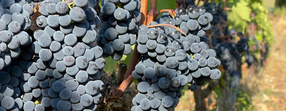 ������� � ������������ ������� ���� � ��� ���� �� �����