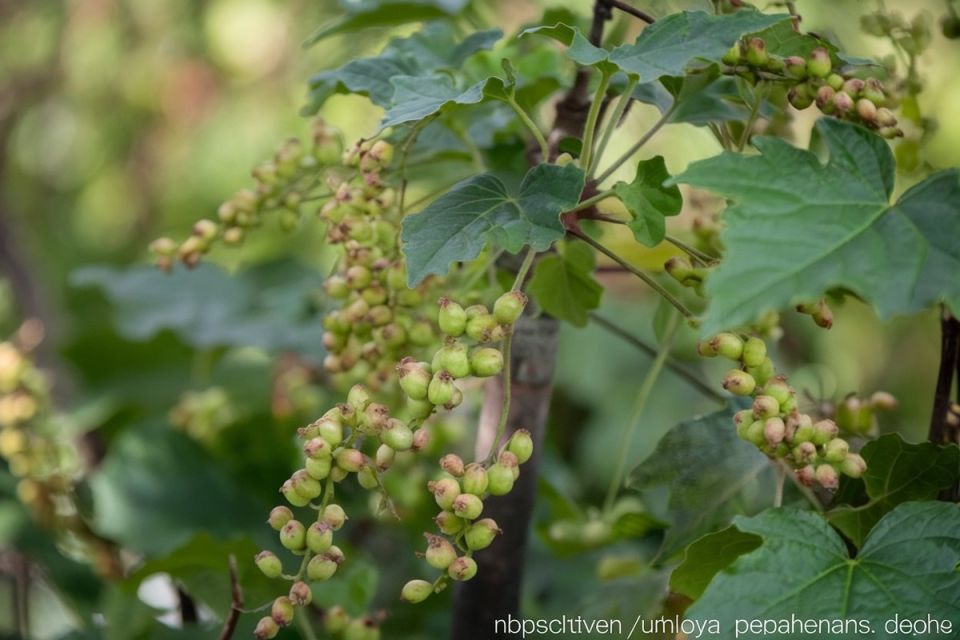 ��� ������� ���� ������������ ��������� �� ����� ������������ � ������ ������ ����� ���� ����� ������� ��� ������ ���������