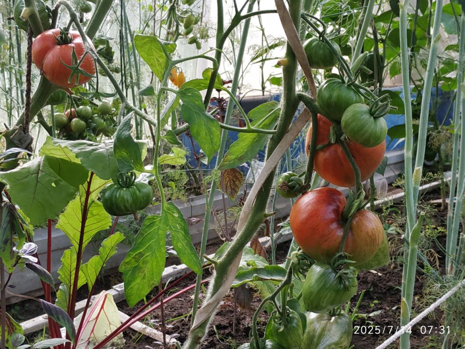 �������� ������: ��� ������������ ����� ������� �����������