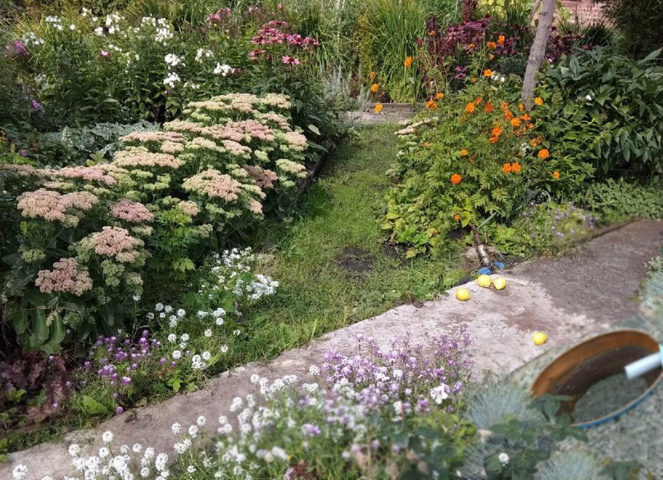 Когда на даче посуда опережает водоотведение и мечтаешь о простом решении