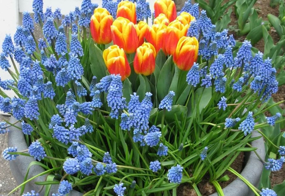 ������ ��������� ������� �������� ����� �������� ������ � �� ������ �����