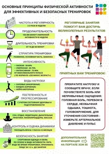 Для достижения положительных результатов при регулярных занятиях физическими упражнениями необходимо соблюдать несколько принципов физической активности