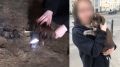 Омские школьницы жестоко расправились с щенком