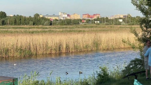 Для участников Всероссийского семинара-совещания по молодежной политике организовали полезную программу
