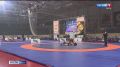 Омичи завоевали медали на чемпионате России по греко-римской борьбе