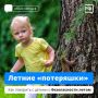 Летом больше прогулок, но и больше рисков