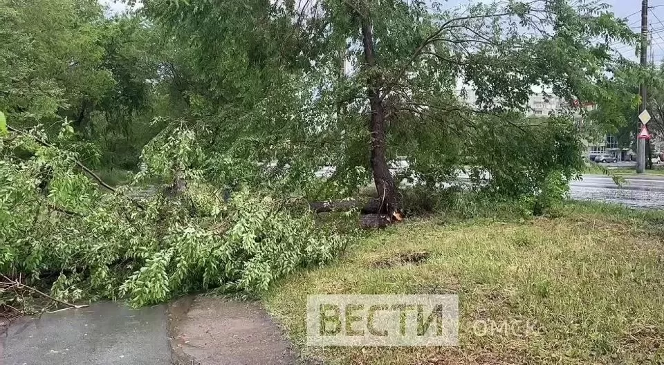 После сильного ливня с ветром и градом в Омске появились последствия