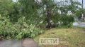 После сильного ливня с ветром и градом в Омске появились последствия