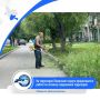         521   ,       14-  ,   ,   ,   6- , ...