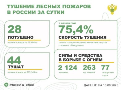 За прошедшие сутки в 7 регионах России потушили 28 лесных пожаров