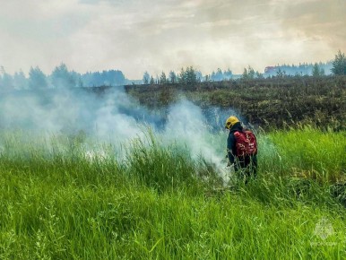 #пожарызасутки.   18 июня в 10:39 В Омском районе горела трава и камыш, была угроза перехода огня на рядом стоящие дачные дома в садоводстве «Портовик – 2»