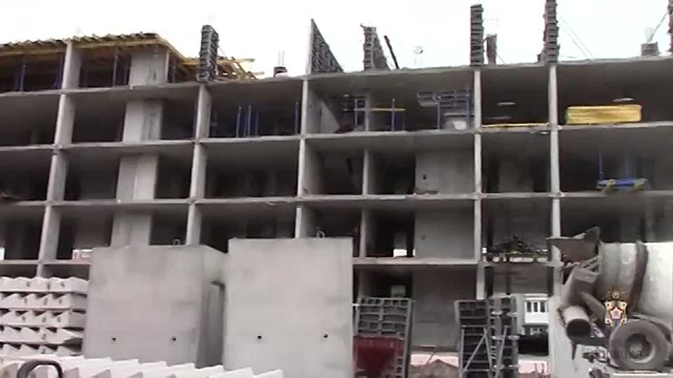           2025  411   