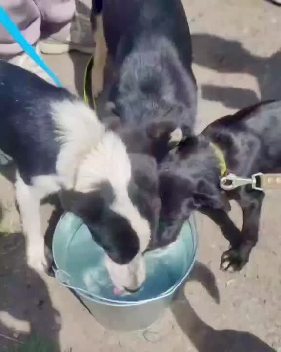        !