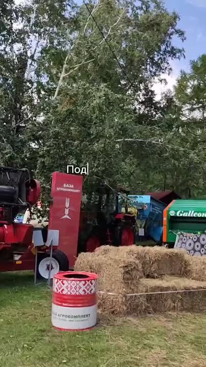 -2025  !.    :      -