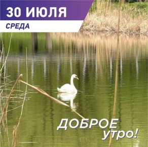  :  ,  