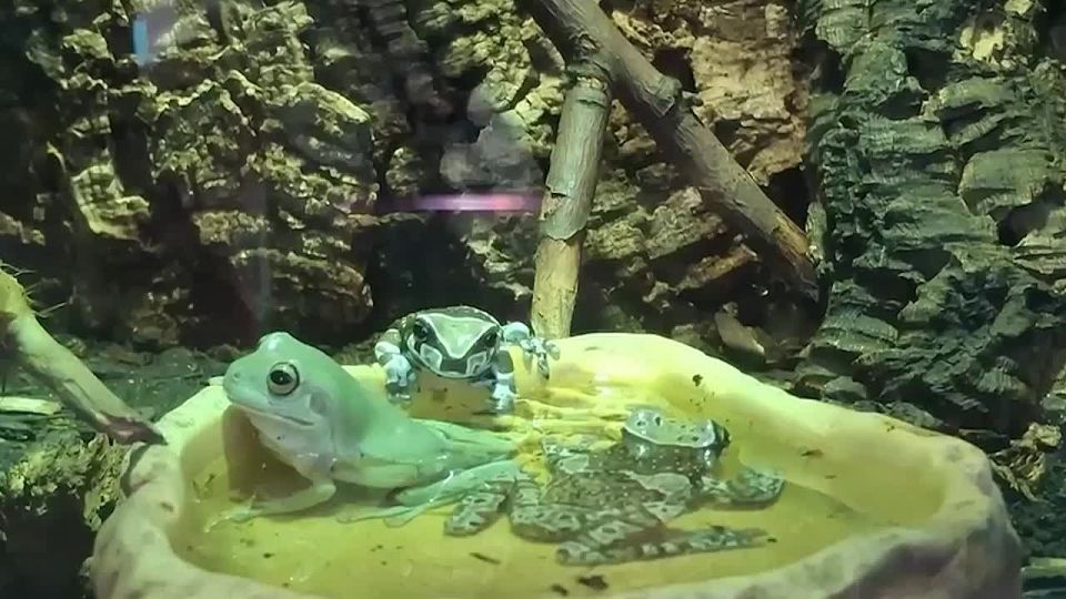 -.  ,      