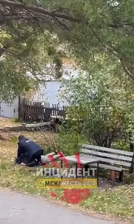   :    